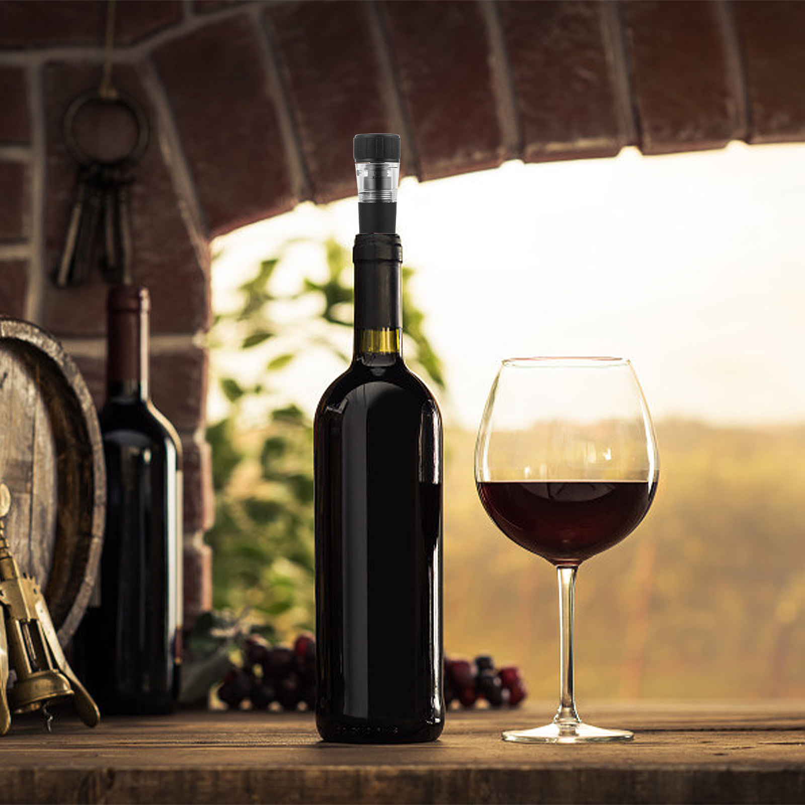 2Pcs Lightweight Vacuum Pump B - Wine Preservation Pump recensie en prijs